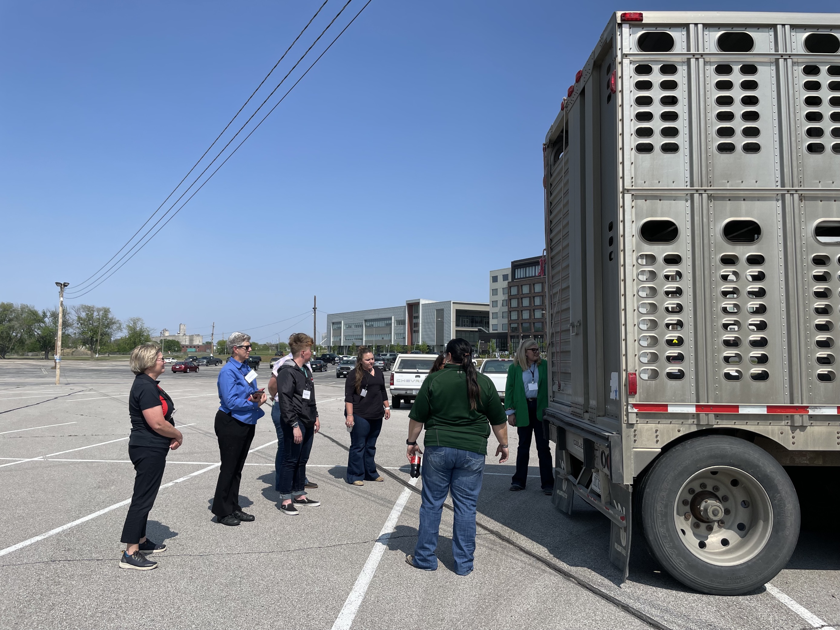 cattle pot demo